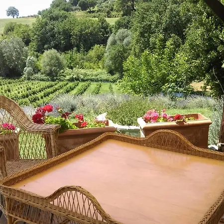 Agroturismo La Nocciolaia