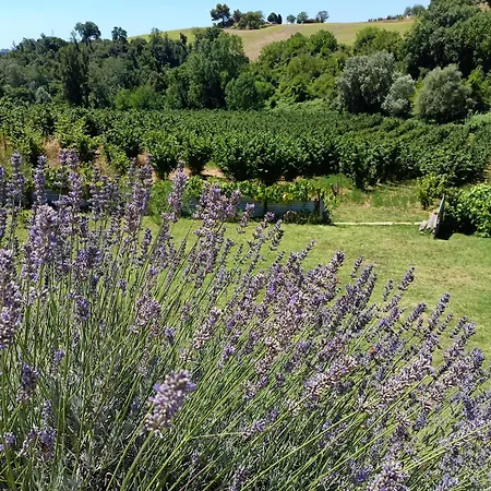 La Nocciolaia * Narni