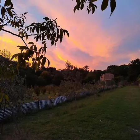 La Nocciolaia Нарни