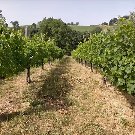 La Nocciolaia * Narni