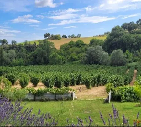 La Nocciolaia مزرعة للإقامة نارني