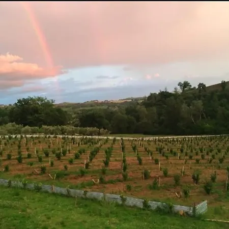 La Nocciolaia Agroturismo *