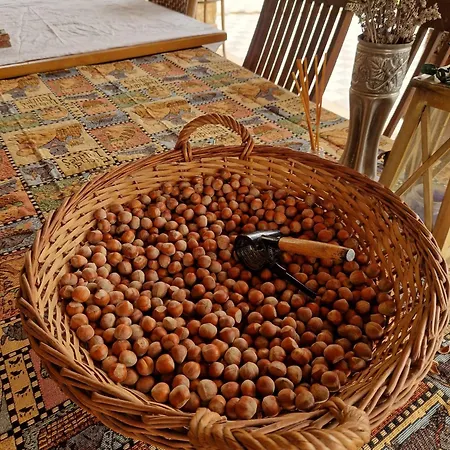 La Nocciolaia