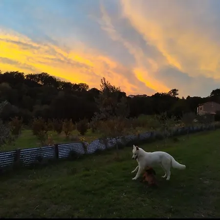 La Nocciolaia Agroturismo *