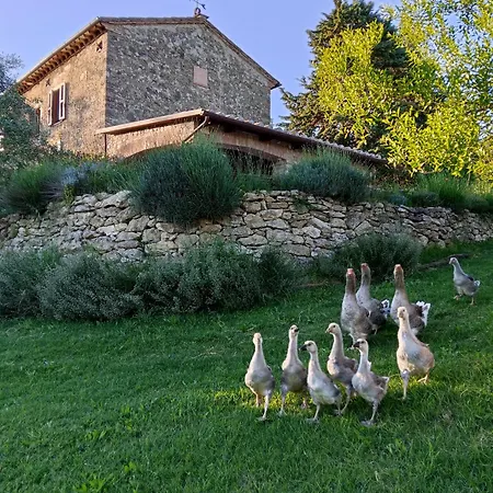 Agroturismo La Nocciolaia