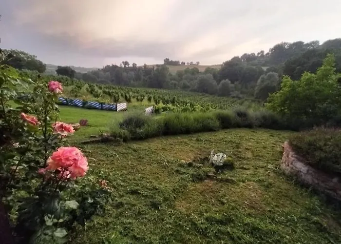 La Nocciolaia Farm stay