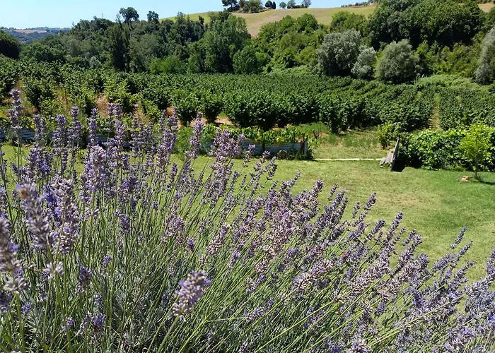 La Nocciolaia * ナルニ