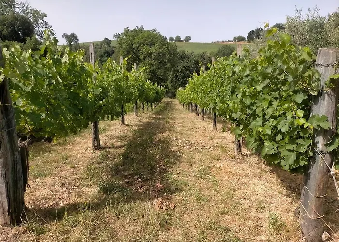 La Nocciolaia * Narni