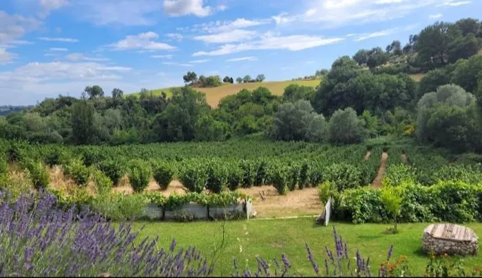 La Nocciolaia Farm stay Narni