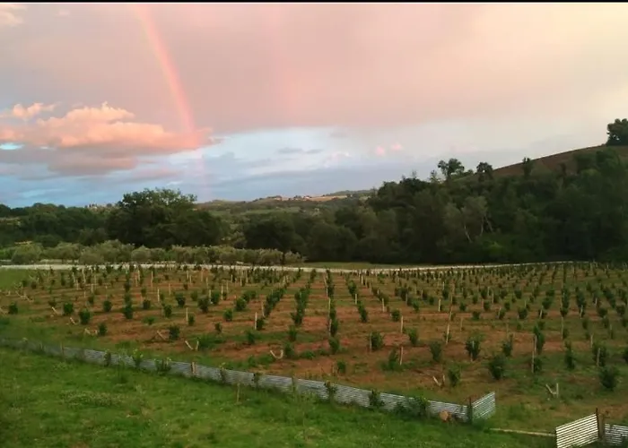 La Nocciolaia Farm stay *