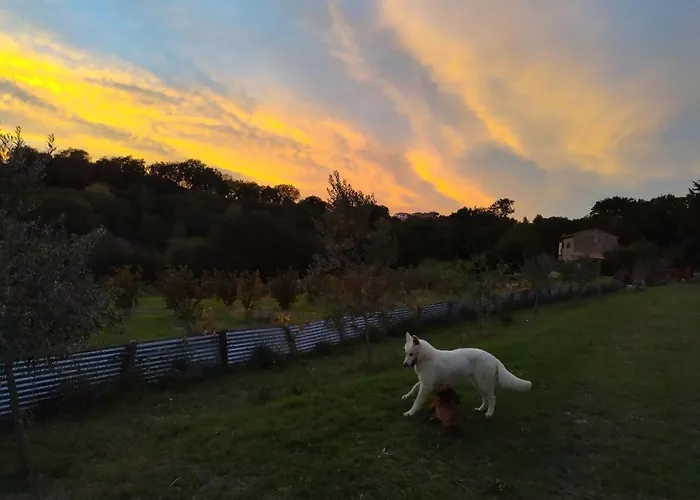 La Nocciolaia Farm stay *