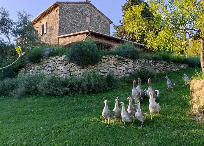 Farm stay La Nocciolaia