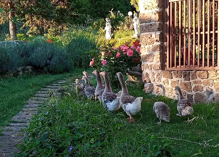 Farm stay La Nocciolaia Narni